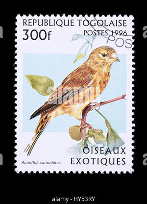 Postage stamp from Togo depicting common linnet (Linaria cannabina) Stock Photo