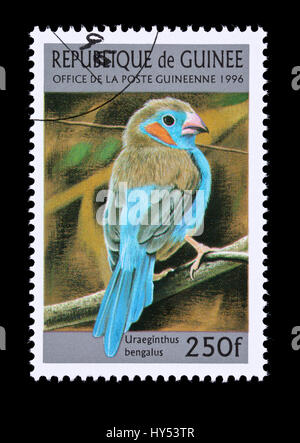 Postage stamp from Guinea depicting a red-cheeked cordon-bleu or red-cheeked cordonbleu (Uraeginthus bengalus)