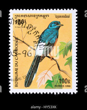 Postage stamp from Cambodia depicting a chestnut-tailed starling or grey-headed myna (Sturnia malabarica) Stock Photo