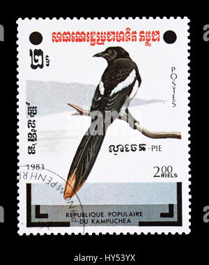 Postage stamp from Cambodia depicting a magpie. Stock Photo