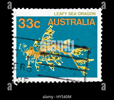 Postage stamp from Australia depicting a leafy seadragon or Glauert's seadragon (Phycodurus eques) Stock Photo