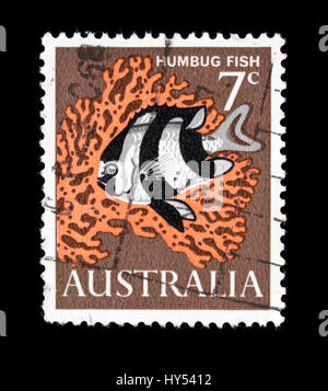 Postage stamp from Australia depicting a humbug fish or Three-Stripe Damsel (Dascyllus aruanus) Stock Photo