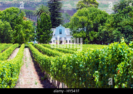 Buitenverwachting wine estate in Constantia, Cape Town, South Africa. Stock Photo