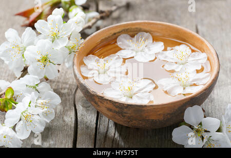 Floating flowers ( Cherry blossom)   in  clay  bowl. Stock Photo