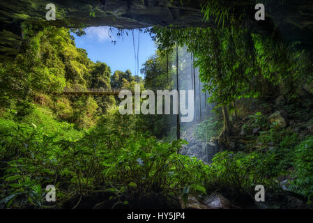 Footbridge and Crystal Falls along the Wonga Walk in the Rainforest of Dorrigo National Park,New South Wales, Australia. Long exposure. Stock Photo