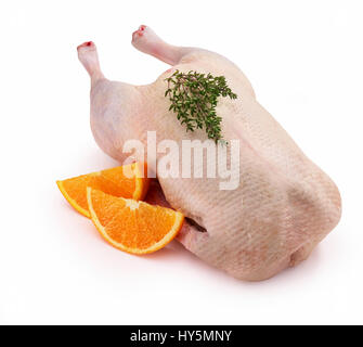 Raw duck (Anas) with pieces of orange (Citrus sinensis) and thyme (Thymus) as decoration, clipping path available Stock Photo