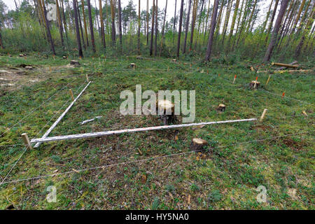 Marking an archaeological excavation in the forest Stock Photo