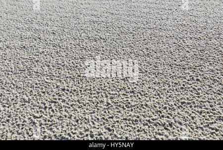Background-wet river sand on the river bank after rain Stock Photo