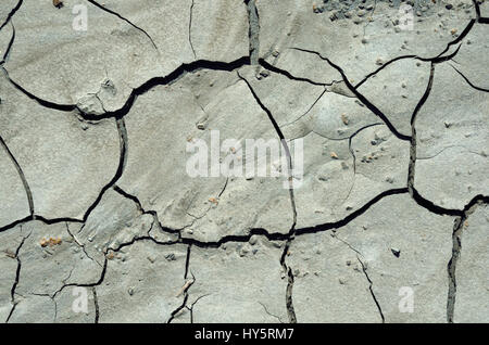 natural background of cracked mud on a West Coast beach Stock Photo