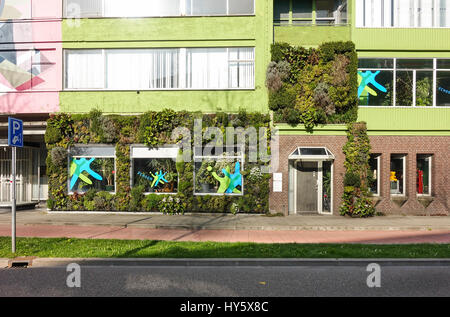 Walls of company covered with plants, living wall, Heerlen, Netherlands Stock Photo