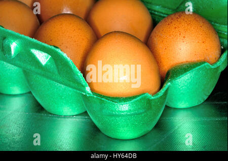 article of food, autonomy, brown, chicken, chickens, comestible, comestible goods, drink, drinking, eat, eating, edibles, egg, eggs, food, food Stock Photo