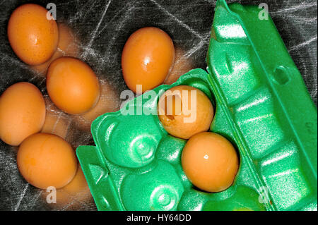 article of food, autonomy, brown, chicken, chickens, comestible, comestible goods, drink, drinking, eat, eating, edibles, egg, eggs, food, food and d Stock Photo