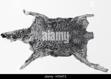 Directly above shot of Persian lamb skin Stock Photo