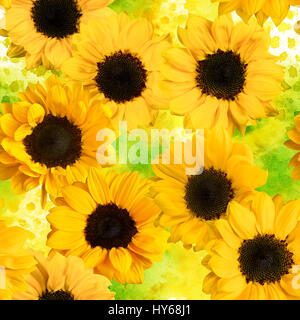 Seamless pattern with photos of sunflowers, on a yellow green dotted watercolor texture Stock Photo