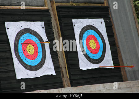 Arrows in archery target with lots of holes Stock Photo