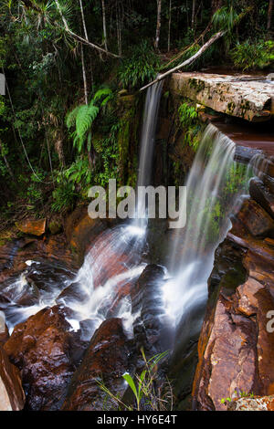 Ginseng Waterfalls, Maliau Basin Conservation Area, Sabah, Borneo, Malaysia, Asia, by Monika Hrdinova/Dembinsky Photo Assoc Stock Photo