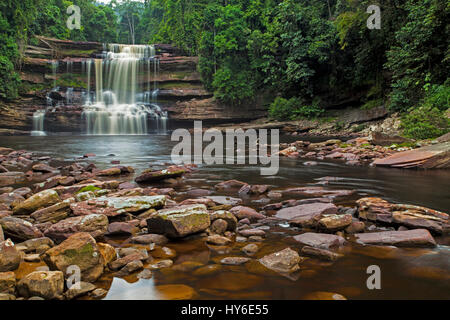 Maliau Waterfalls, Maliau Basin Conservation Area, Sabah, Borneo, Malaysia, by Monika Hrdinova/Dembinsky Photo Assoc Stock Photo