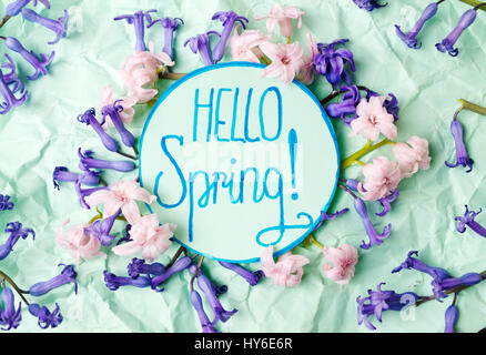 Hello spring note with hyacinth flowers on green paper Stock Photo