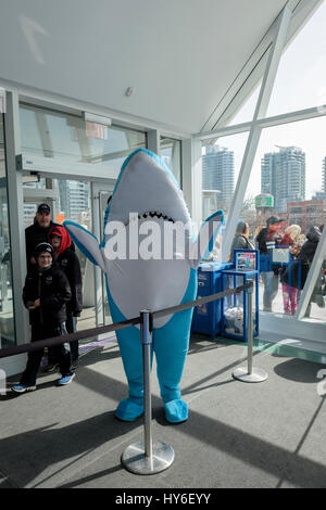 Ripley's Aquarium of Canada shark mascot greeting visitors at the entrance of the attraction, downtown Toronto, Ontario, Canada. Stock Photo