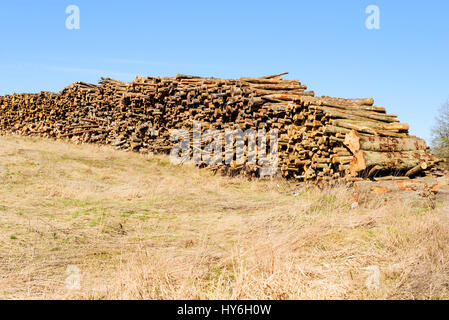 Stack of timber on a grass slope. This timber will most likely be used as biofuel. Stock Photo