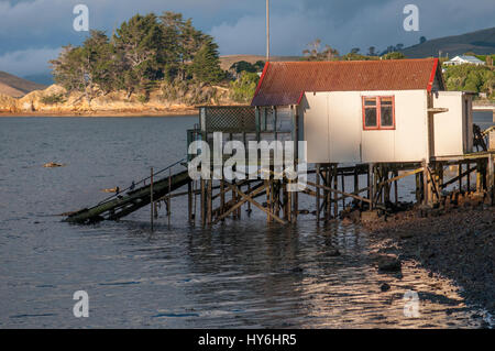 Boat houses at Otago Peninsula and Otago Harbour during sunset east of Dunedin, New Zealand