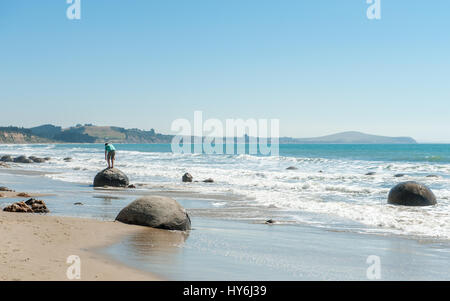 Moeraki boulders are a popular tourist attraction consisting of a group of very large spherical “stones” on Koekohe Beach Stock Photo