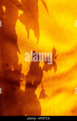 Abstract design produced by leaf shadows on orange canvas Stock Photo