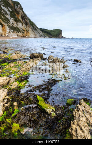 Sea view from Man o' War Cove, St Oswald's Bay, Dorset, England, UK Stock Photo