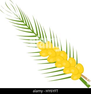 Fresh dates icon flat, cartoon style. Yellow fruit isolated on white background. Vector illustration, clip-art. Stock Vector