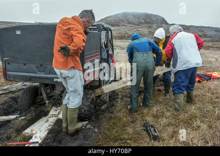 Getting the ATV unstuck from the water-logged peat, Quirpon Island, Newfoundland Stock Photo