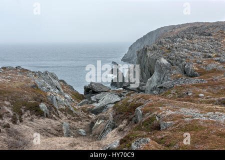 Rugged coast with rocks and lichens, Quirpon Island, Strait of Belle Isle, Newfoundland Stock Photo
