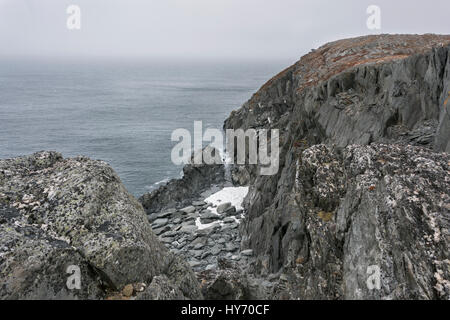 Lingering June snow and rocky beach, Quirpon Island, Strait of Belle Isle, Newfoundland Stock Photo