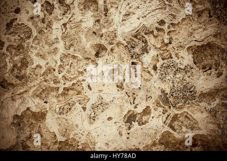 Dirty, scratched old coquina wall, as background Stock Photo