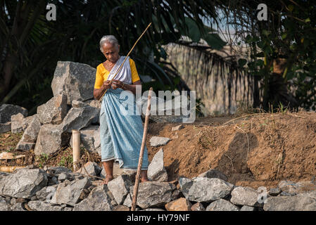 India, State of Kerala aka Ernakulam, Allepey, The Backwaters. Old woman fishing along the canal and waterways of the Backwaters. Stock Photo