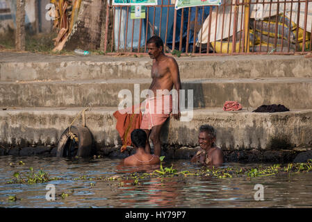 India, State of Kerala aka Ernakulam, Allepey, The Backwaters. Local men bathing in the the canal and waterways of the Backwaters. Stock Photo