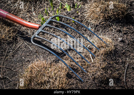 pitchfork laying on ground in sunlight Stock Photo