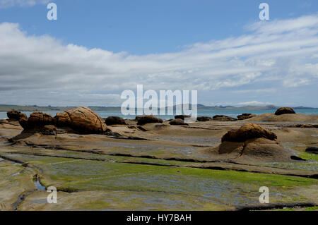 Remains of the Katiki boulders on the beach near Shag Point, Their more famous cousins are some 12 km north of these at Moeraki. Stock Photo