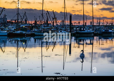 Newlyn, Cornwall, UK. 2nd April 2017. UK Weather. Newlyn harbour before sunrise, with a fine day ahead forecast. Credit: Simon Maycock/Alamy Live News Stock Photo