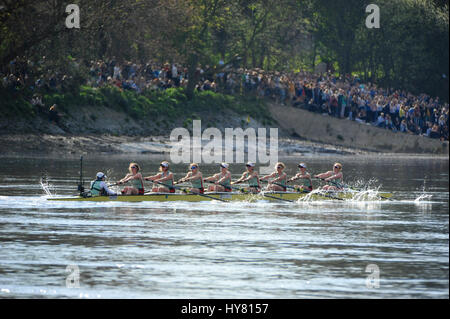 London, UK. 02nd Apr, 2017. Cambridge rowing hard and leading the way as the University Boat race passes underneath Hammersmith Bridge.  Rowers are:  Bow - Ashton Brown (AUS/CAN) Fitzwilliam 2 - Imogen Grant, (GBR) Trinity 3 - Claire Lambe (IRL) Homerton 4 - Anna Dawson (NZL) Newnham College 5 - Holly Hill (GBR) Downing 6 - Alice White (GBR/NZL) Homerton 7 - Myriam Goudet (FRA) Lucy Cavendish Stroke - Melissa Wilson (GBR) Lucy Cavendish Cox - Matthew Holland (GBR) Gonville & Caius  Credit: Michael Preston/Alamy Live News Stock Photo