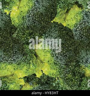 Green broccoli isolated on white top view vector illustration Stock Vector