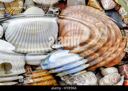 Abstract image of the water ripples over the stone pebbles - digitally altered Stock Photo