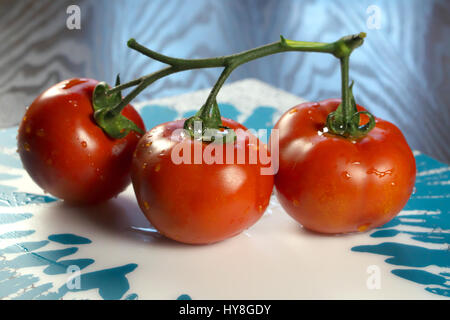 Three raw organic red tomatoes on white and light blue placemat lying on dark wooden table - Focus on central tomato with bokeh background Stock Photo