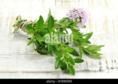 bunch of fresh thyme on wooden background Stock Photo