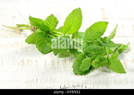 bunch of fresh peppermint on wooden background Stock Photo