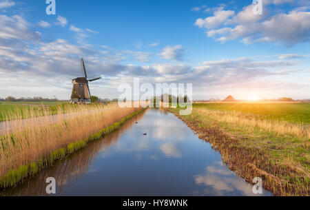 Windmills at sunrise. Rustic landscape with dutch windmills near the water canals, yellow reeds and blue cloudy sky reflected in water. Beautiful morn Stock Photo