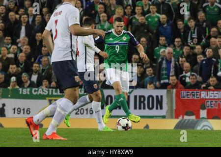 National Football Stadium at Windsor Park, Belfast. 26th March 2017. 2018 World Cup Qualifier - Northern Ireland 2 Norway 0. Northern Ireland's Conor Washington (9) in action. Stock Photo