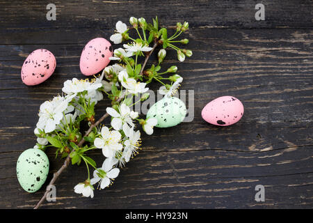 Easter background with Easter eggs and cherry flowers Stock Photo
