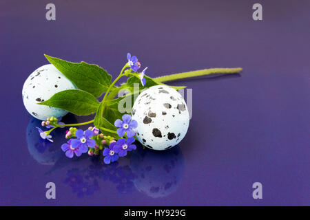 Spring flowers and easter eggs. Happy Easter Background Stock Photo