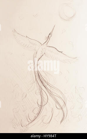 uprising phoenix bird flying up, drawing on white paper background. Stock Photo