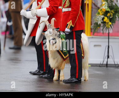 Her Majesty Queen Elizabeth presents leeks to the 1st Battalion Royal Welsh to mark St. David's Day at Jellalabad Barracks, Tidworth.  Featuring: Atmosphere Where: Tidworth, United Kingdom When: 03 Mar 2017 Stock Photo